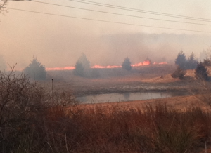 Reno Co. grass fire on Monday
