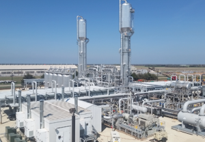  Tenewa Haven Processing photo