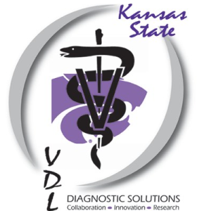 Screen Shot 2015-04-17 at 4.06.27 PM