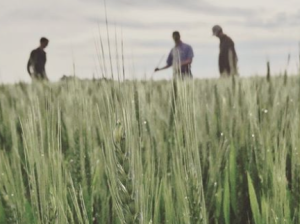 photos by Jordan Hildebrand for Kansas Wheat