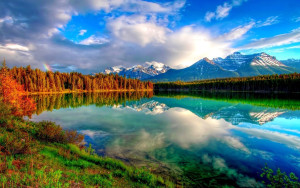 nature
