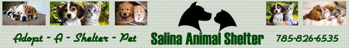 AdoptAShelterPet