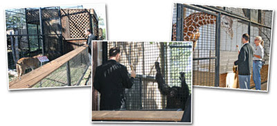 ZooImages