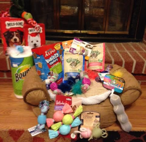 Emily Streeter collected all of these items and donated them to the Salina Animal Shelter.