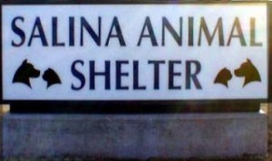 SalinaAnimalShelter