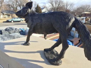 Spiritus, the Coyote statue, at its new home at Kansas Wesleyan University (Photo by Terry Tebrugge/Salina Post)