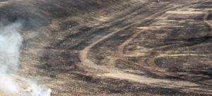 Fire grass fire