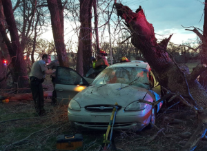 Screen Shot 2016-03-08 at 7.59.20 PM