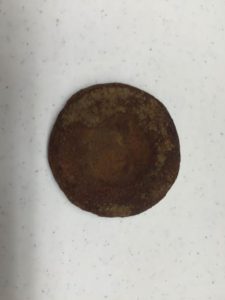 The 2016 River Festival Medallion