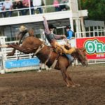 A saddle bronc rider lifts on his rein at the 2015 Wild Bill Hickok Rodeo. This year’s rodeo is August 3-6. Photo by Fly Thomas.