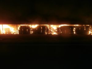 Photo: Saline County Sheriff's Office