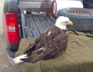 Photo KDWP&T Game Wardens