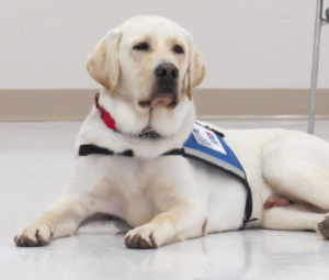 Laddy photo Wichita Police