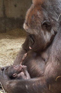 photo Sedgwick Co. Zoo