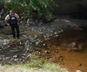K-9 Ruby and Kansas Game Warden/K-9 Handler Chris Stout 
