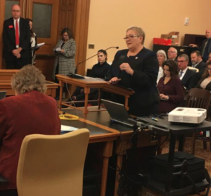 Photo by Andy Marso/KHI News Service Mary Blubaugh, executive administrator of the Kansas Board of Nursing, spoke Tuesday to a special legislative committee considering a proposal to combine the state’s 141 professional licensing boards and commissions into three “umbrella” boards. Blubaugh said each licensing board has unique rules and processes, which would make consolidation a challenge.