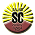 saline-county-logo